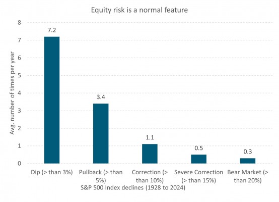 equity risk is a normal feature